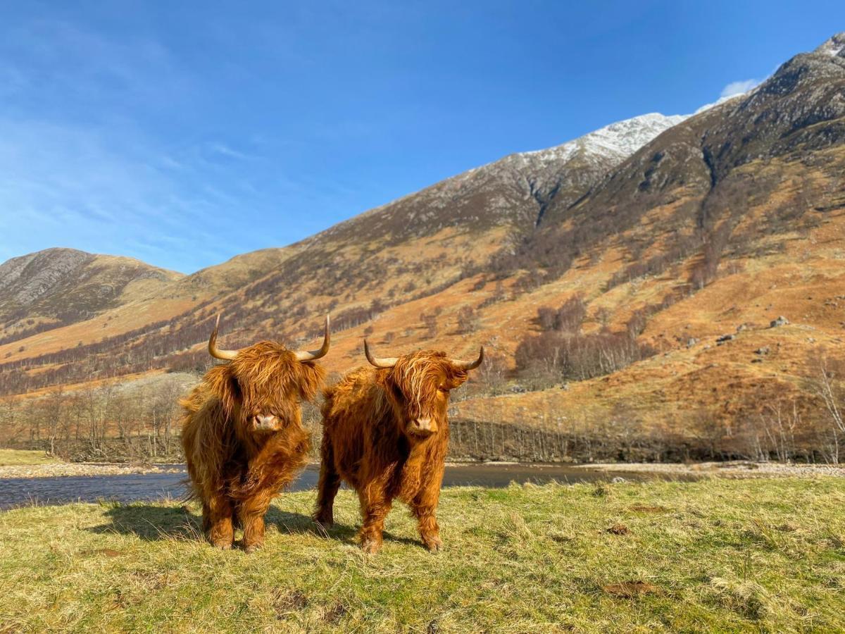 Glen Nevis Holidays Fort William Luaran gambar