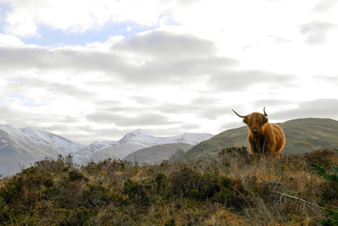 Glen Nevis Holidays Fort William Luaran gambar